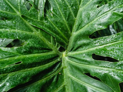 فروش لوله پلی اتیلن آبرسانی در گراش