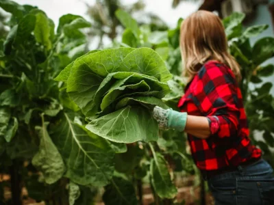 فروش لوله پلی اتیلن آبرسانی در قزوین