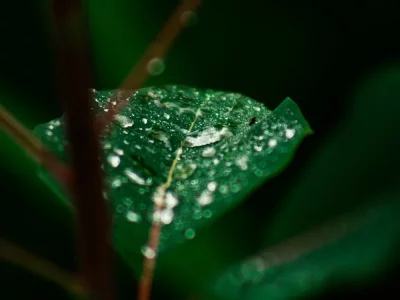 فروش لوله پلی اتیلن آبرسانی در بهبهان