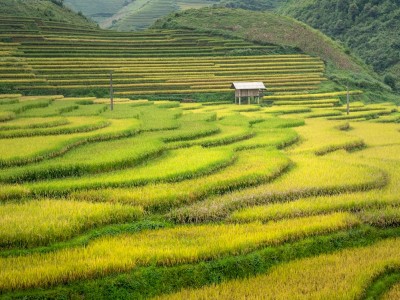 فروش لوله تاشو در اهواز و خوزستان