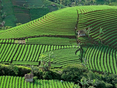 فروش لوله تاشو در شهرکرد