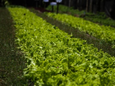 فروش لوله تاشو در جلگه