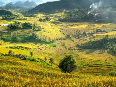 فروش لوله تاشو در بندرعباس و هرمزگان