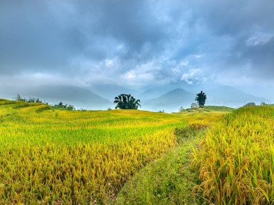 فروش لوله تاشو در لار