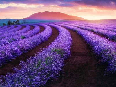 فروش اتصالات الکتروفیوژن در اصفهان