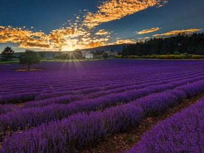 فروش اتصالات الکتروفیوژن در شیراز