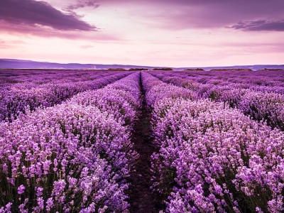 فروش اتصالات الکتروفیوژن در اهواز و خوزستان