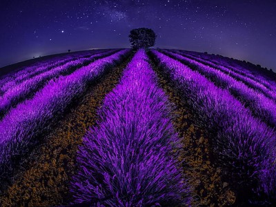 فروش اتصالات الکتروفیوژن در بوشهر