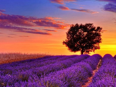 فروش اتصالات الکتروفیوژن در خرم آباد و لرستان