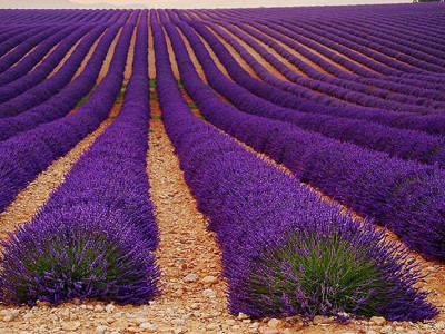 فروش اتصالات الکتروفیوژن در اردبیل