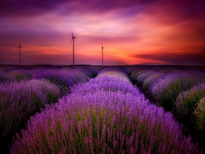 فروش اتصالات الکتروفیوژن در گیلانغرب