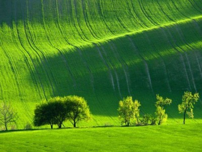 فروش نایلون کشاورزی در اهواز و خوزستان