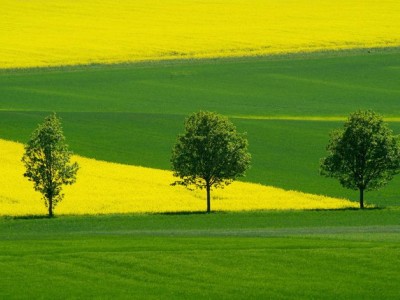 فروش نایلون کشاورزی در یاسوج