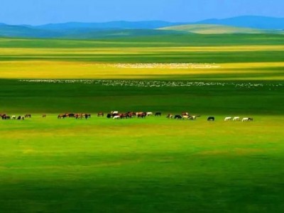 فروش نایلون کشاورزی در شوشتر