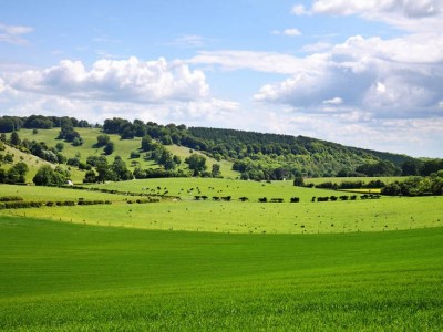 فروش نایلون کشاورزی در کازرون
