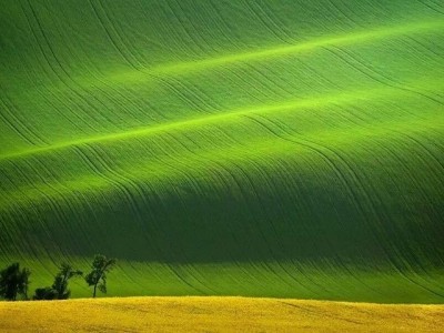 فروش نایلون کشاورزی در بندرعباس و هرمزگان