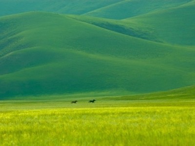 فروش نایلون کشاورزی در جلگه