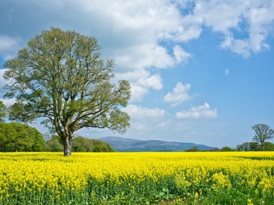 فروش نایلون کشاورزی در هشتبندی
