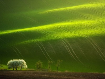 فروش نایلون کشاورزی در گچساران