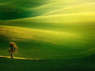 فروش نایلون کشاورزی در قیر و کارزین