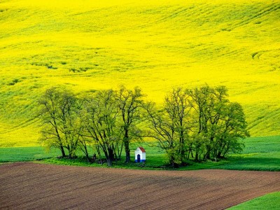 فروش نایلون کشاورزی در بهبهان