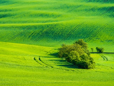 فروش دریپر آبیاری قطره ای در اهواز و خوزستان