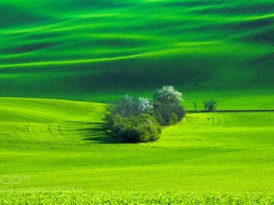 فروش دریپر آبیاری قطره ای در شیراز و فارس