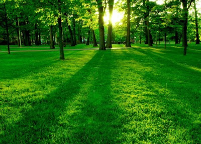 فروش دریپر آبیاری قطره ای در مشهد و خراسان