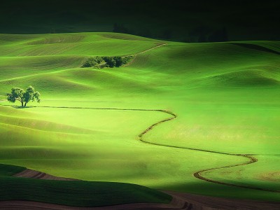 فروش دریپر آبیاری قطره ای در دهدشت