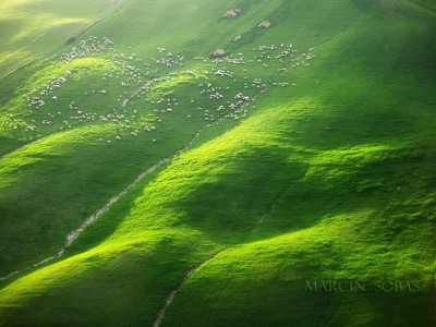 فروش دریپر آبیاری قطره ای در گچساران