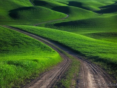 فروش دریپر آبیاری قطره ای در کهورستان