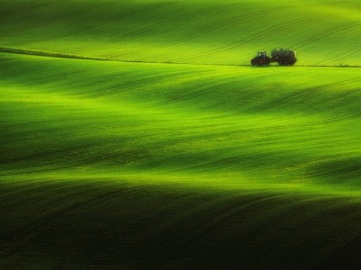 فروش دریپر آبیاری قطره ای در جلگه