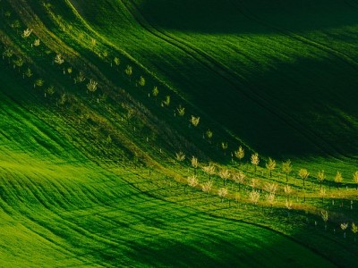 فروش دریپر آبیاری قطره ای در زاهدان و سیستان