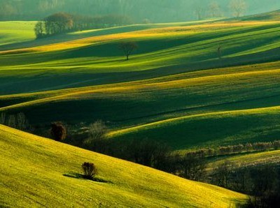 فروش دریپر آبیاری قطره ای در کازرون