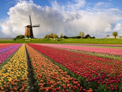 فروش قطره چکان آبیاری قطره ای در اصفهان