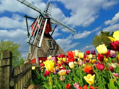 فروش قطره چکان آبیاری قطره ای در مشهد و خراسان