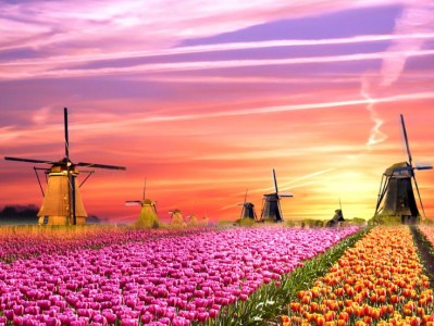 فروش قطره چکان آبیاری قطره ای در دهدشت