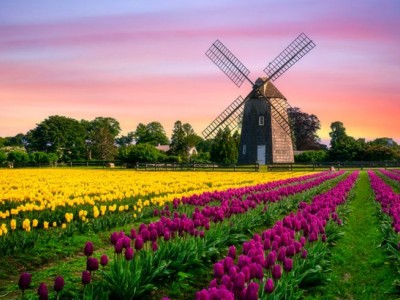 فروش قطره چکان آبیاری قطره ای در بهبهان