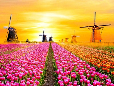 فروش قطره چکان آبیاری قطره ای در کهورستان