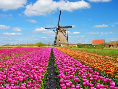 فروش قطره چکان آبیاری قطره ای در زاهدان و سیستان