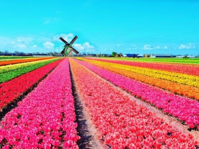 فروش قطره چکان آبیاری قطره ای در شیراز و فارس