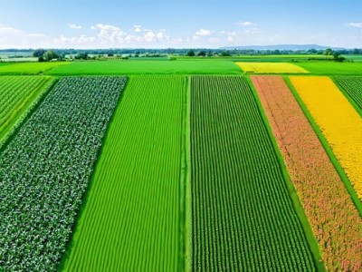 انواع آبیاری قطره ای