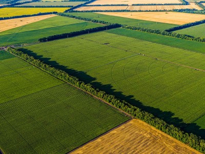 فروش قطره چکان کشاورزی