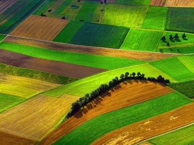 انواع لوله آبیاری قطره ای