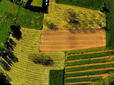کارخانه تولید لوله آبیاری قطره ای