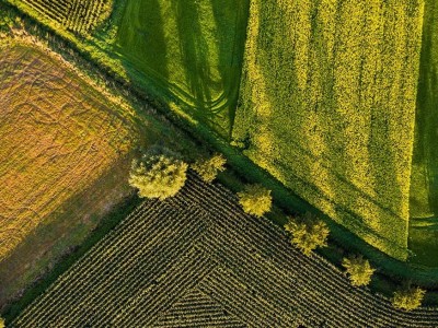 فروش لوله 16 دریپردار (قطره چکان دار)