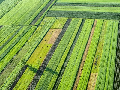 آبیاری قطره ای باغ