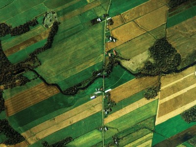 آبیاری قطره ای پسته