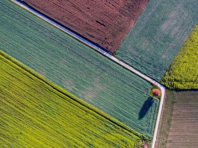 قیمت و خرید نایلون کشاورزی