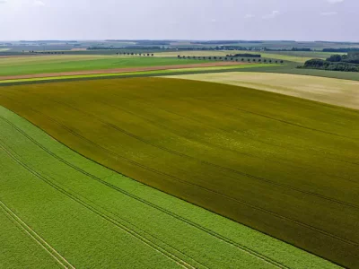 لوله و اتصالات و تجهیزات آبیاری قطره ای انگور